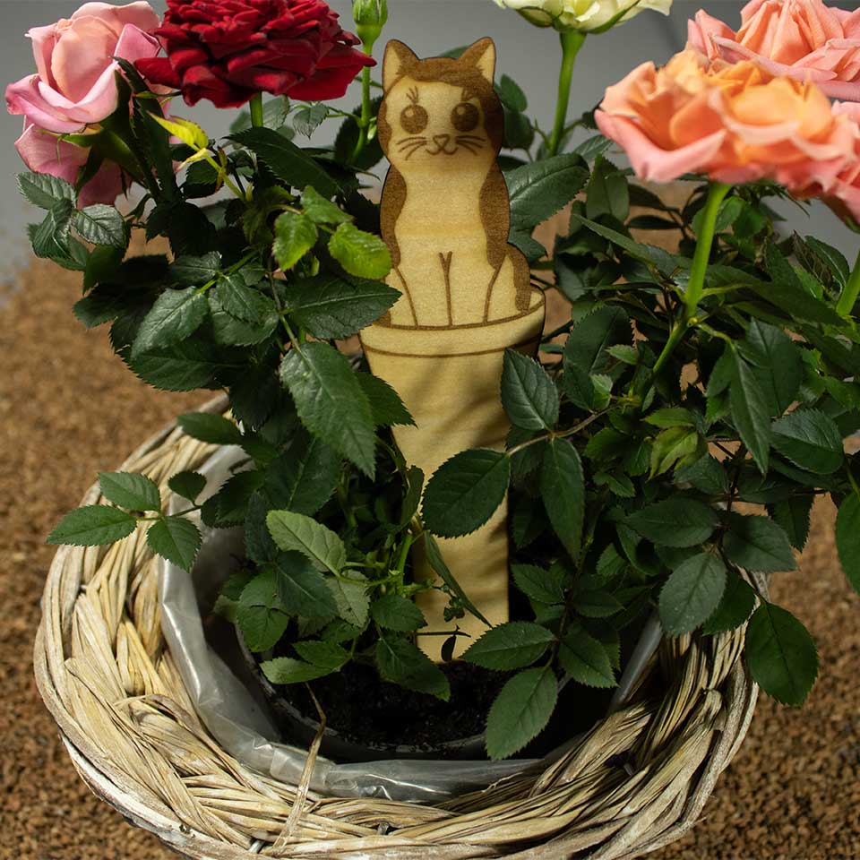 Cat plant spotted - Plant marker