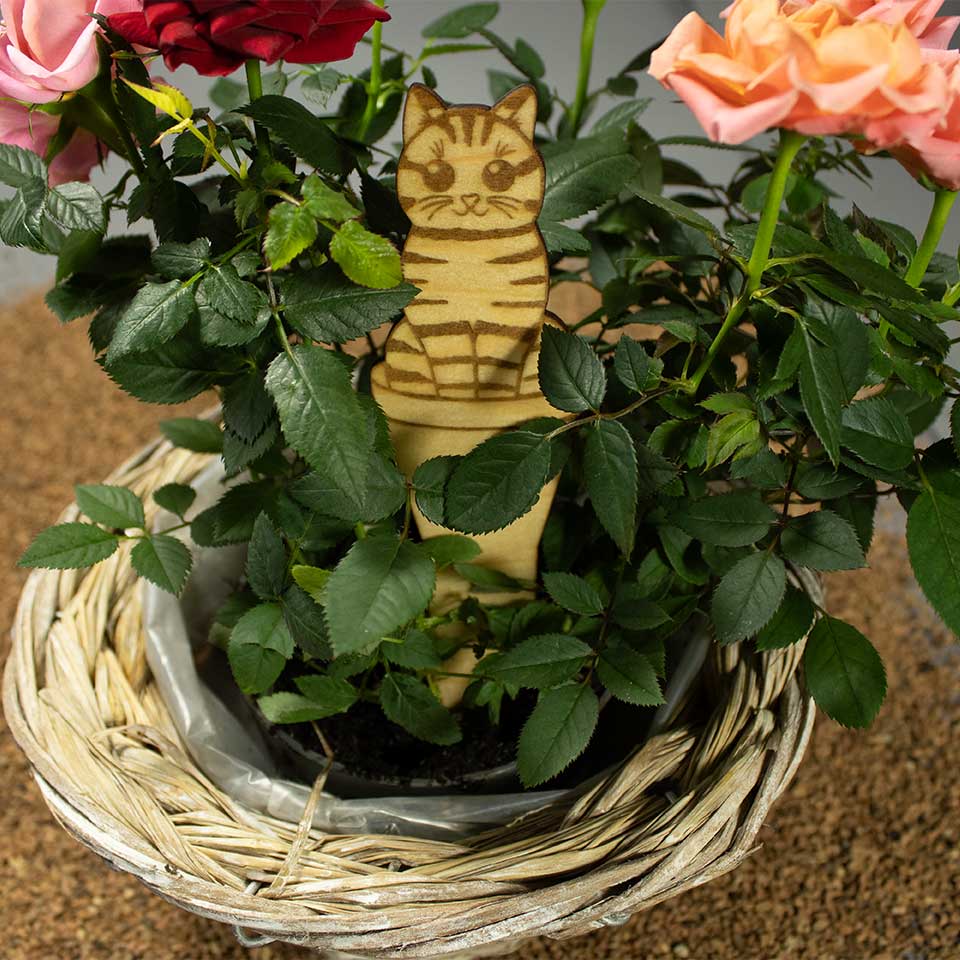 Cat plant striped - plant marker