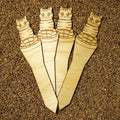 Cat plant striped - plant marker