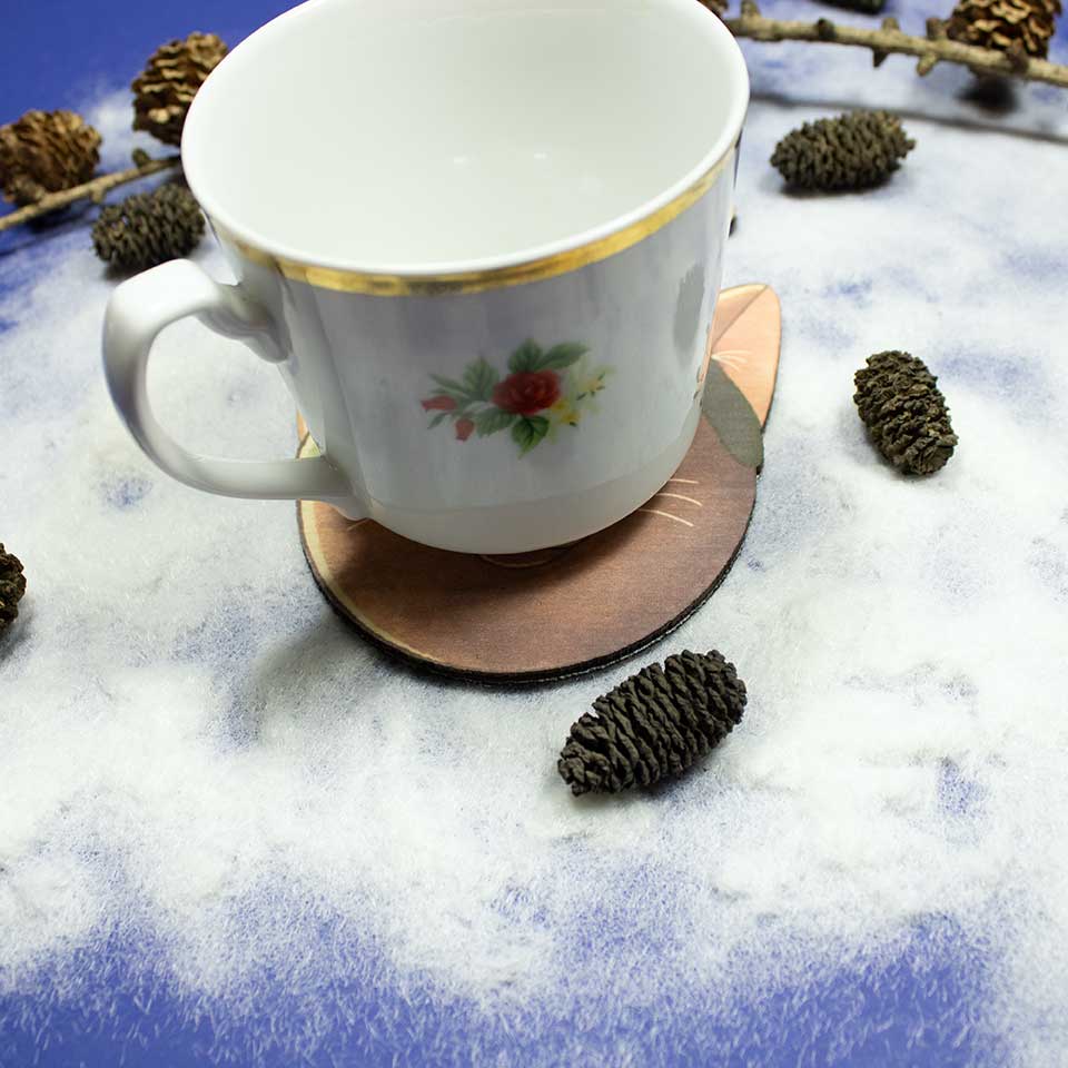 Cat reindeer - coaster