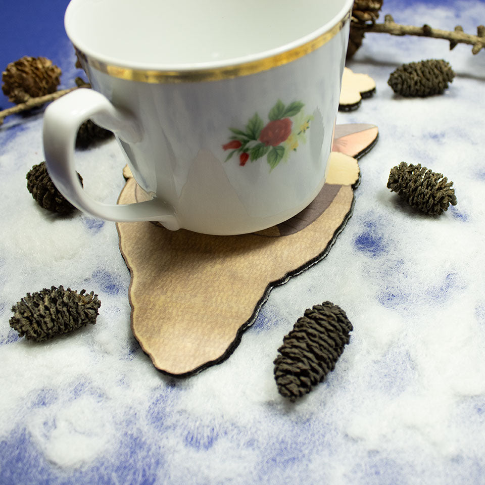 Cat Santa Claus - coaster