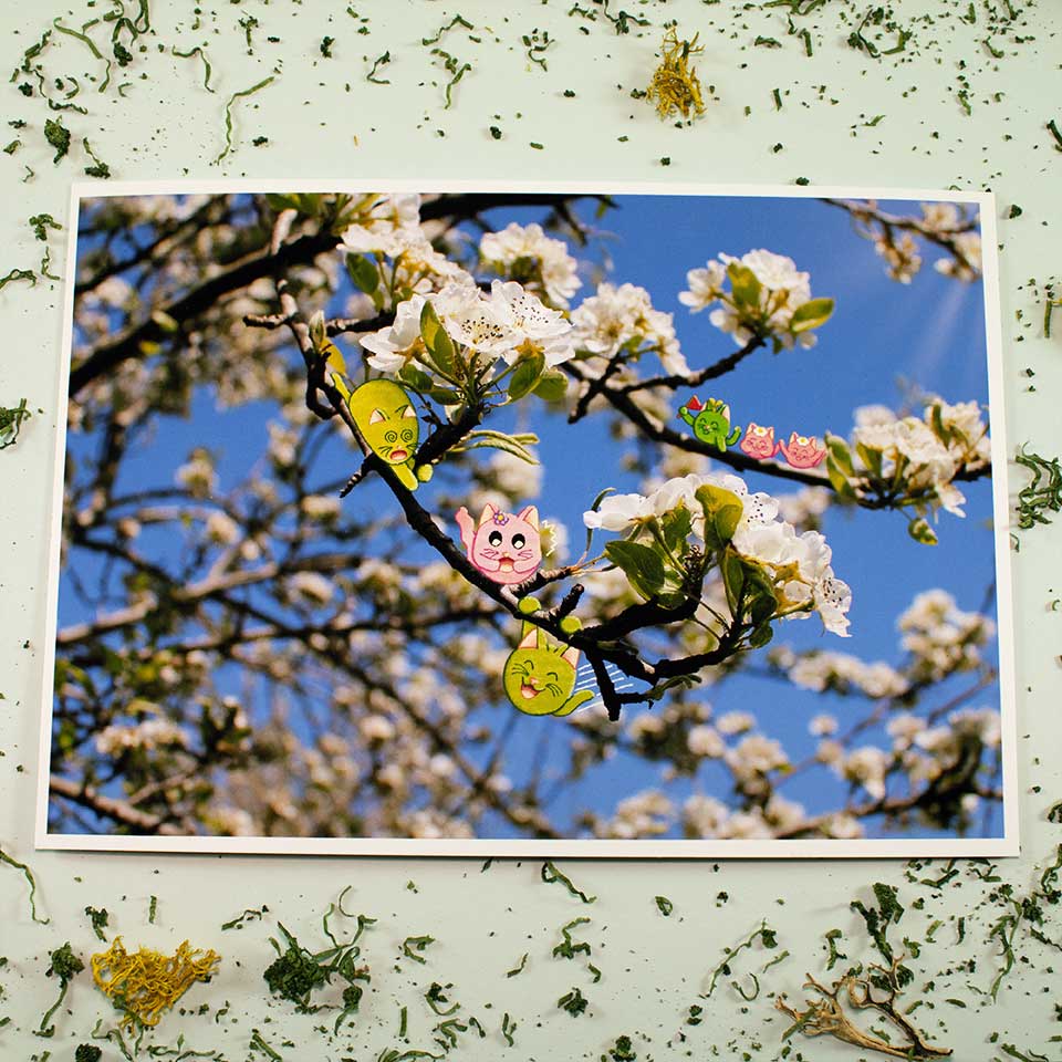 Fun in a sea of blossoms - print